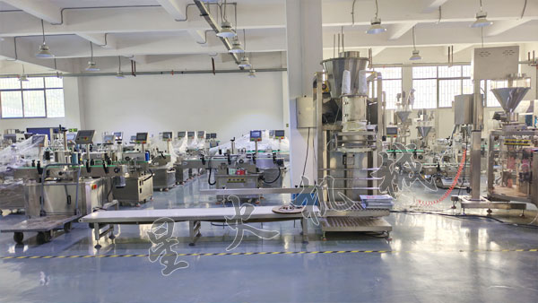 25公斤粉劑稱重灌裝機